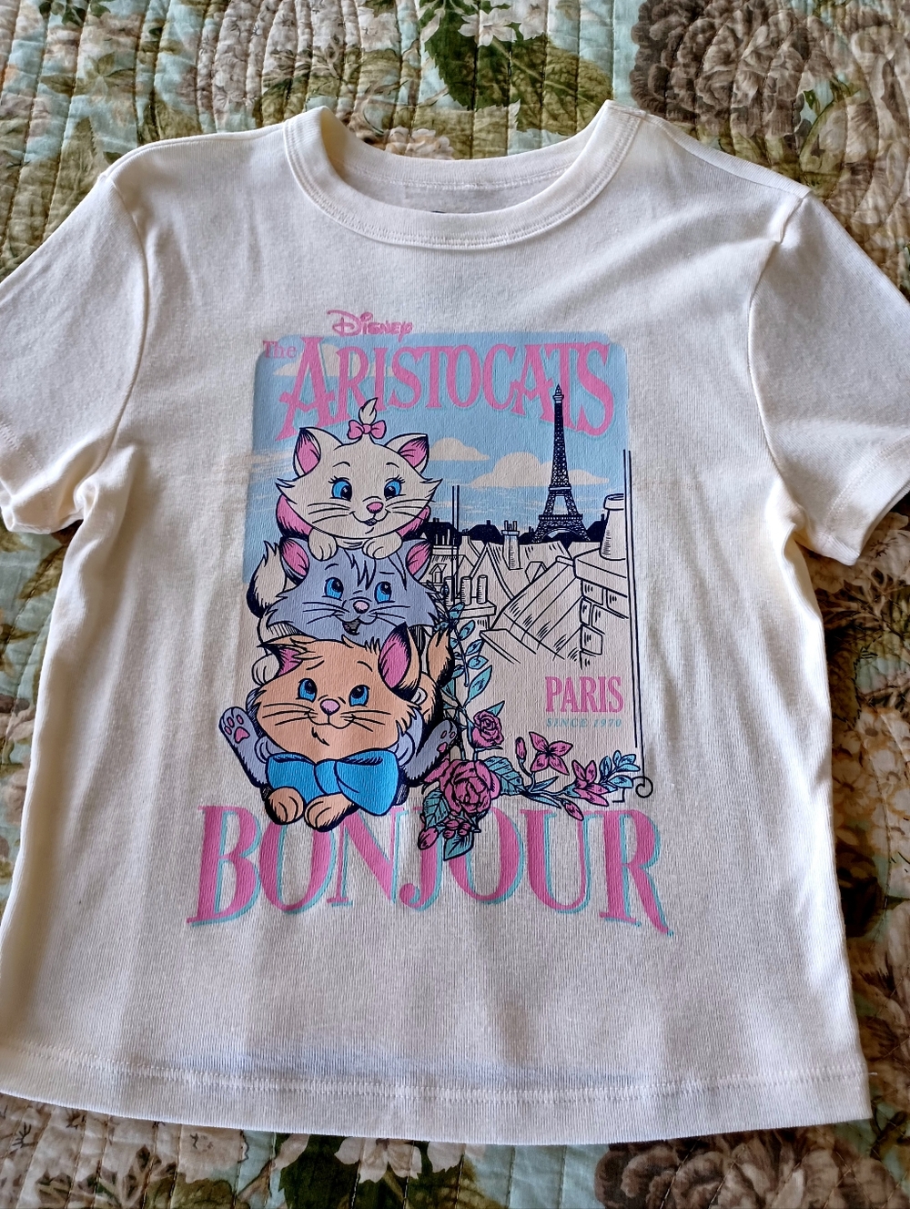 Disney Paris Bonjour Aristocats Kid's Graphic Tee - Cream Pink Blue, Size M - Picture 4 of 10